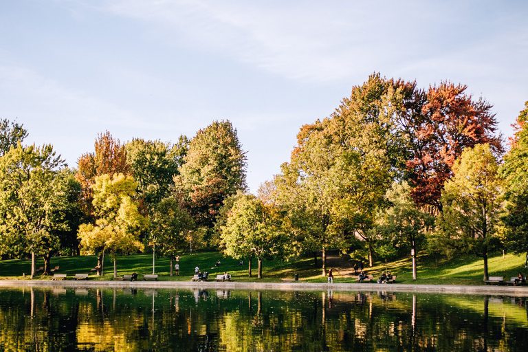 ezebreeze-lakeclear ezebreeze-lakeclear