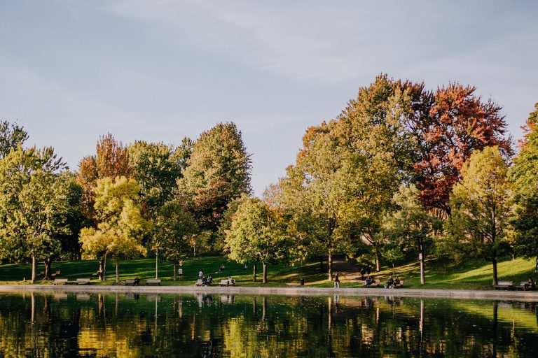 ezebreezesmoke ezebreezesmoke